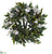 Silk Plants Direct Mixed Greens and Dancing Lady Orchid Artificial Wreath - White - Pack of 1