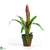 Silk Plants Direct Potted Single Sword Bromeliad - Mauve - Pack of 1