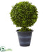 Silk Plants Direct Boxwood Ball Topiary - Pack of 1