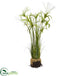 Silk Plants Direct Papyrus Plant - Pack of 1