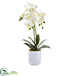 Silk Plants Direct Phalaenopsis - Pack of 1