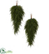 Silk Plants Direct Cedar Artificial Teardrop - Pack of 1