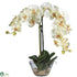 Silk Plants Direct Phalaenopsis - White - Pack of 1