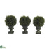 Silk Plants Direct Cedar Ball Topiary - Pack of 1