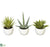 Silk Plants Direct Southwest Collection - Green - Pack of 3