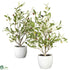 Silk Plants Direct Olive - Green - Pack of 2