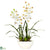 Silk Plants Direct Cymbidium - White - Pack of 1