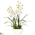 Silk Plants Direct Cymbidium - White - Pack of 1
