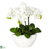 Silk Plants Direct Phalaenopsis - White - Pack of 1