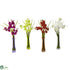 Silk Plants Direct Mini Phal - Pack of 1