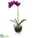 Silk Plants Direct Phalaenopsis Elegance Arrangement - Pack of 1