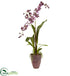 Silk Plants Direct Dancing Lady - Pack of 1