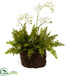 Silk Plants Direct Mini Phalaenopsis & Fern - Pack of 1
