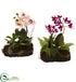 Silk Plants Direct Orchid Island - Pack of 1