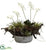 Silk Plants Direct Orchid & Succulent Garden - Pack of 1