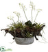 Silk Plants Direct Orchid & Succulent Garden - Pack of 1