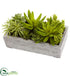 Silk Plants Direct Succulent Garden - Pack of 1