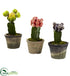 Silk Plants Direct Colorful Cactus - Pack of 1