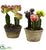 Silk Plants Direct Colorful Cactus Gardens - Pack of 1