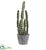 Silk Plants Direct Decorative Cactus Garden - Pack of 1