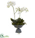 Silk Plants Direct Mini Dendrobium - Pack of 1