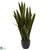 Silk Plants Direct Sansevieria - Pack of 1