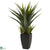 Silk Plants Direct Agave - Pack of 1