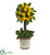 Silk Plants Direct Lemon Ball Topiary Arrangement - Pack of 1
