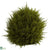 Silk Plants Direct Cedar Sphere - Pack of 1