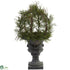 Silk Plants Direct Pond Cypress Topiary - Pack of 1
