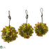 Silk Plants Direct Mixed Succulent Hanging Ball - Pack of 1