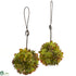 Silk Plants Direct Mixed Succulent Hanging Spheres - Pack of 1