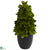 Silk Plants Direct Echeveria Cone Topiary - Pack of 1