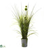 Silk Plants Direct Grass & Dandelion - Pack of 1