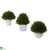 Silk Plants Direct Mixed Cedar Topiary Collection - Pack of 1