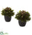 Silk Plants Direct Pine & Berries - Pack of 1