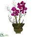 Silk Plants Direct Orchid & Succulent Arrangement - Pack of 1