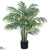 Silk Plants Direct Areca Silk Palm Tree - Green - Pack of 1