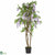 Silk Plants Direct Wisteria - Purple - Pack of 1