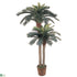 Silk Plants Direct Sago Palm Double Potted - Green - Pack of 1