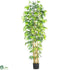 Silk Plants Direct Multi Bambusa Bamboo - Green - Pack of 1