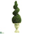Silk Plants Direct Cedar Spiral - Green - Pack of 1
