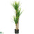 Silk Plants Direct Yucca - Green - Pack of 1