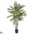 Silk Plants Direct Areca Palm - Green - Pack of 1