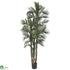 Silk Plants Direct Robellini Palm - Green - Pack of 1