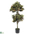 Silk Plants Direct Croton Topiary - Pack of 1