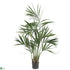 Silk Plants Direct Kentia Palm - Green - Pack of 1