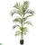 Silk Plants Direct Areca Palm - Green - Pack of 1