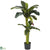 Silk Plants Direct Banana - Green - Pack of 1