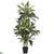 Silk Plants Direct Bamboo Palm - Green - Pack of 1